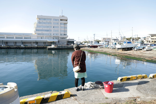 三崎水産物地方卸売市場