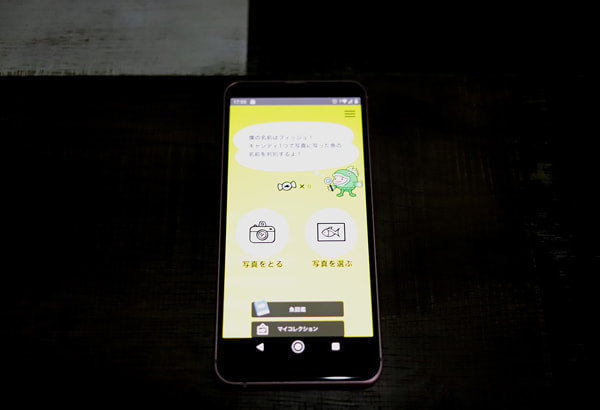 魚図鑑AIアプリ「フィッシュ」