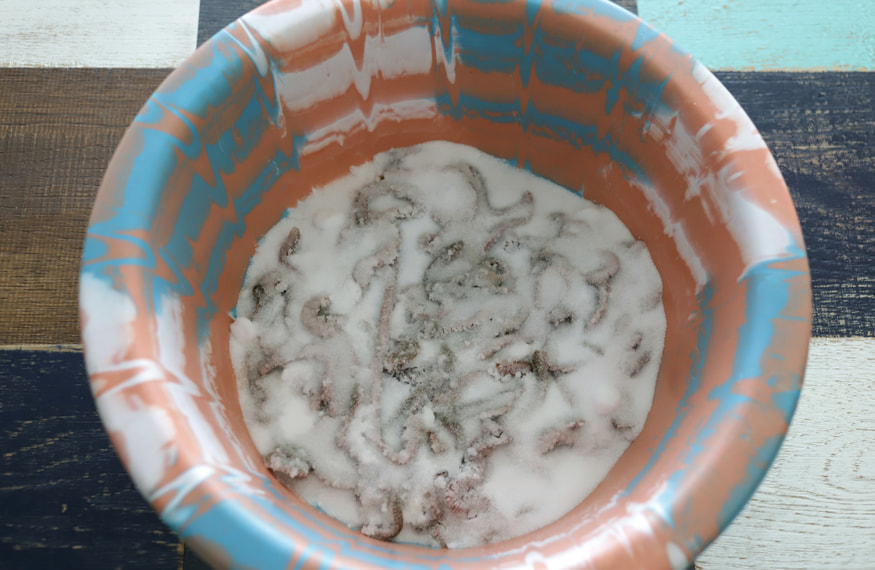 塩イソメの作り方