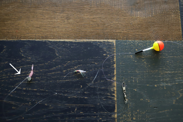 アジング＋サビキ