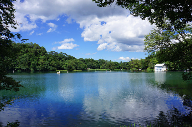 SUPフィッシング 風景