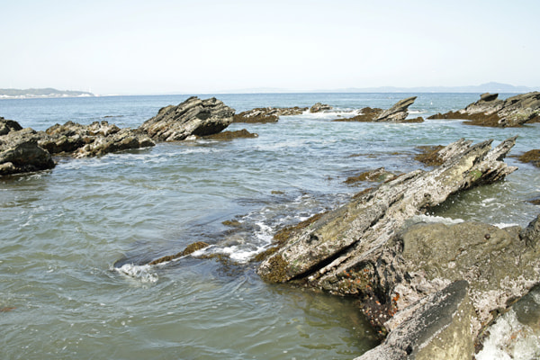 三浦海岸