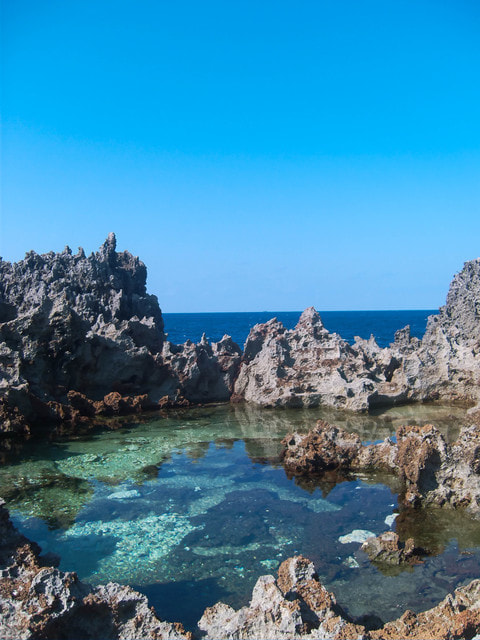 潮溜まりで釣りをしよう