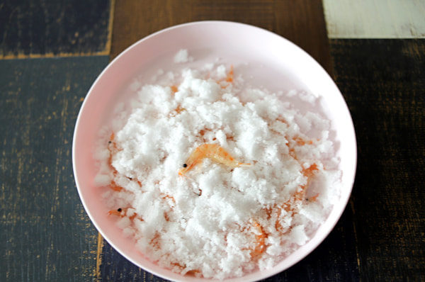 くわせオキアミ