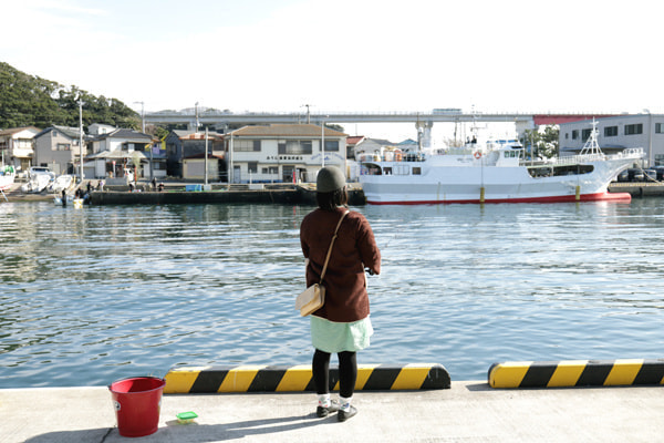 三崎港 釣果 北条湾岸壁