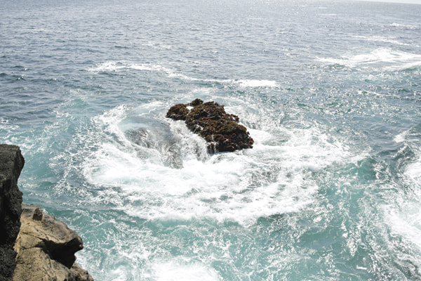 城ヶ島アジング