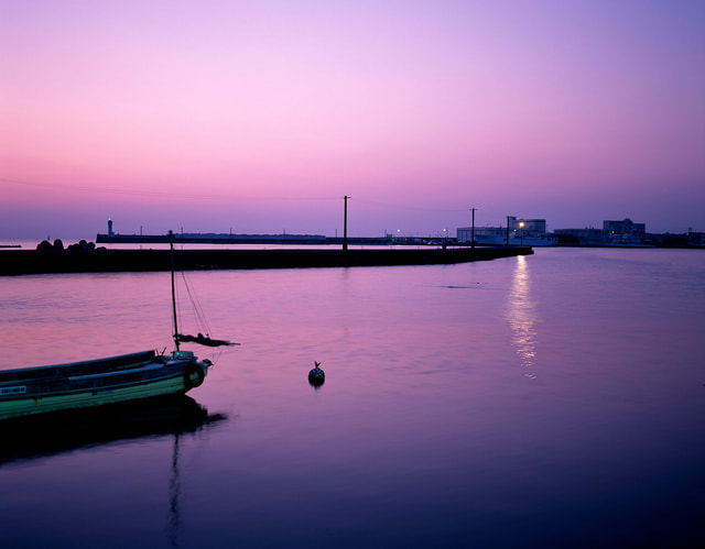 三崎港 夜釣り 釣果