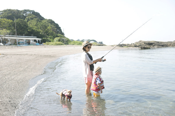 荒井浜海水浴場 油壷周辺