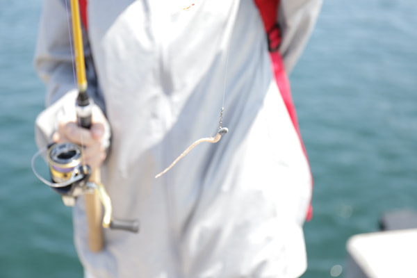 アジングガール