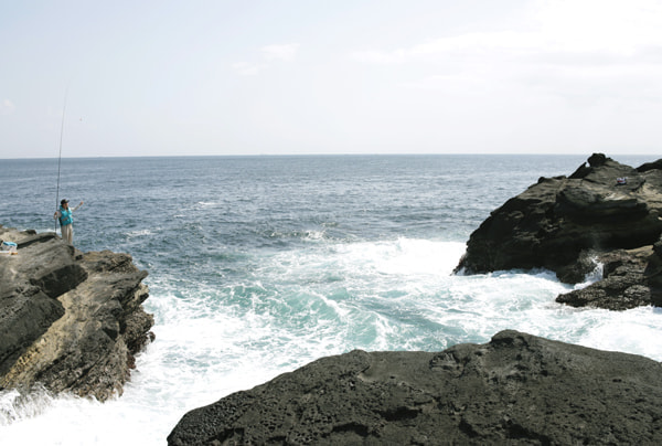 城ヶ島 釣果