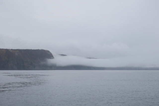 雨 海釣り 釣れる