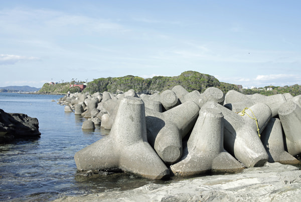 エギング イカ釣り 諸磯(浜諸磯、きつね浜)