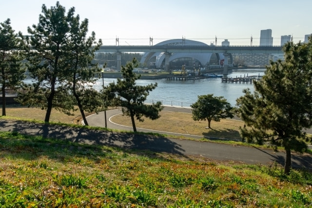 夢の島緑道公園