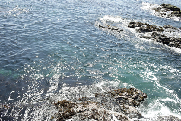 城ヶ島砲台跡前(第一展望台)