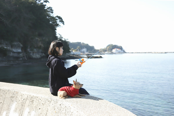 油壷京急マリーナ前