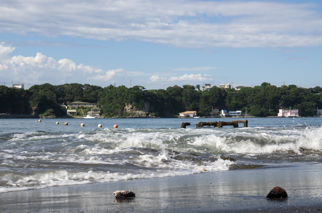横堀海岸 油壷周辺