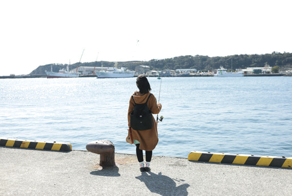 通り矢堤防(田中堤防)