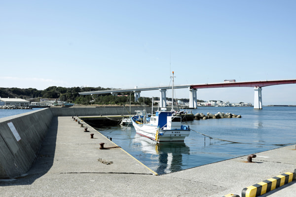 通り矢堤防(田中堤防)
