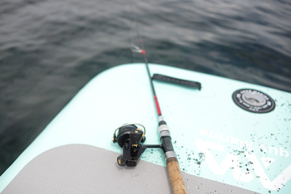 SUPフィッシング