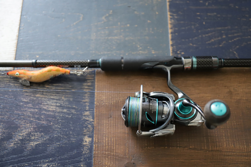 三崎港エギング