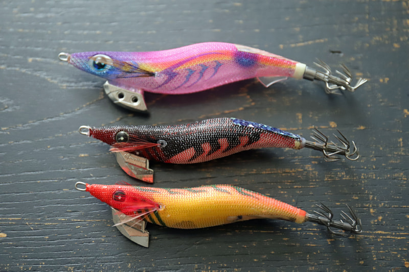 三崎港エギング