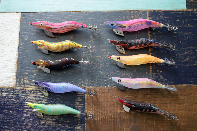 三崎港エギング