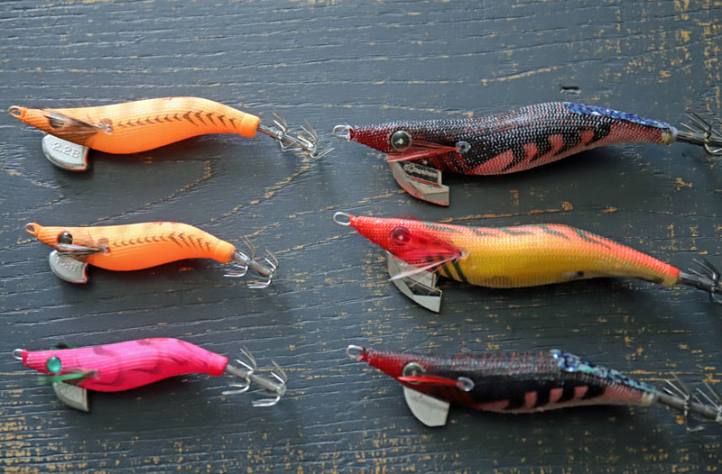 三崎港ケンサキエギング