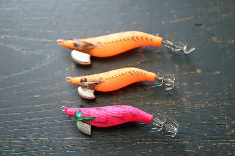 三崎港エギング