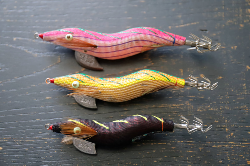 三崎港ケンサキエギング