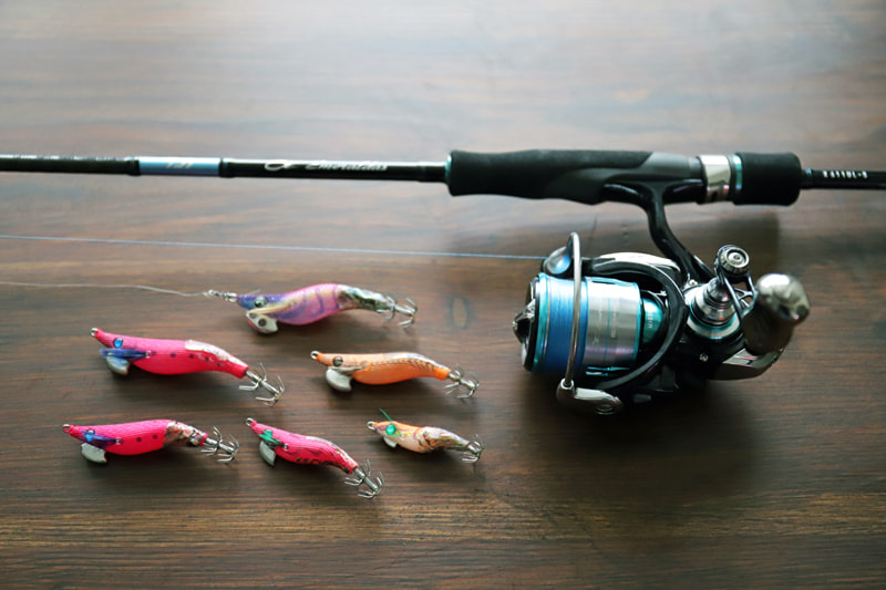 三崎港エギング