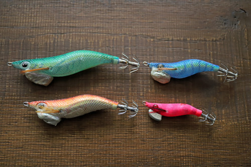 陸っぱりでティップランエギング