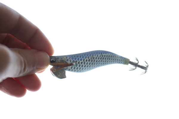 エギングのエギにおけるカラー＆サイズ選択