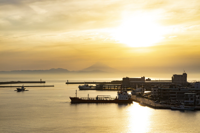 エギングのエギにおけるカラー＆サイズ選択