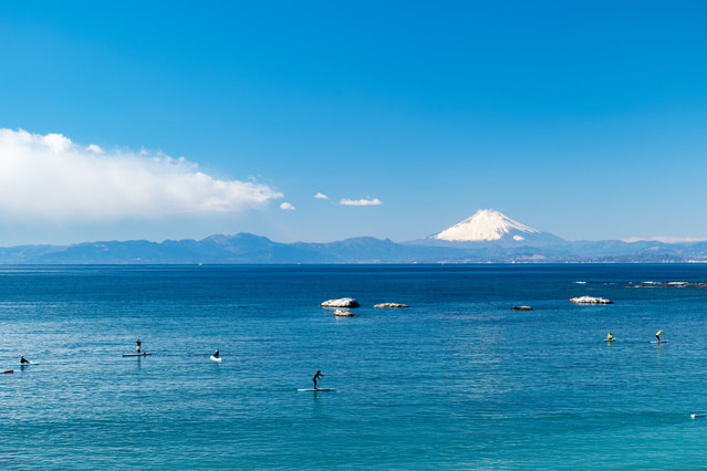 ただ巻きエギングは釣れる！やり方、スピード、向いてるエギ、昼＆夜