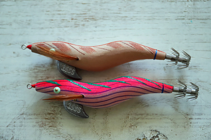 ただ巻きエギングは釣れる！やり方、スピード、向いてるエギ、昼＆夜