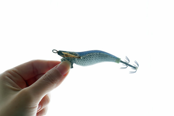 エギ王Kは釣れる？釣れない？評価、人気