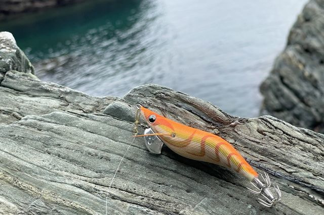 エギングの大潮、中潮、小潮、若潮、長潮は何が釣れる？