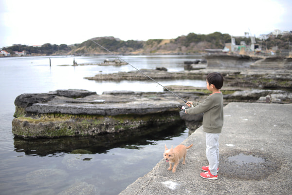 春イカ・夏イカ・冬イカ攻略｜釣果を伸ばす考え方と実践テクニック