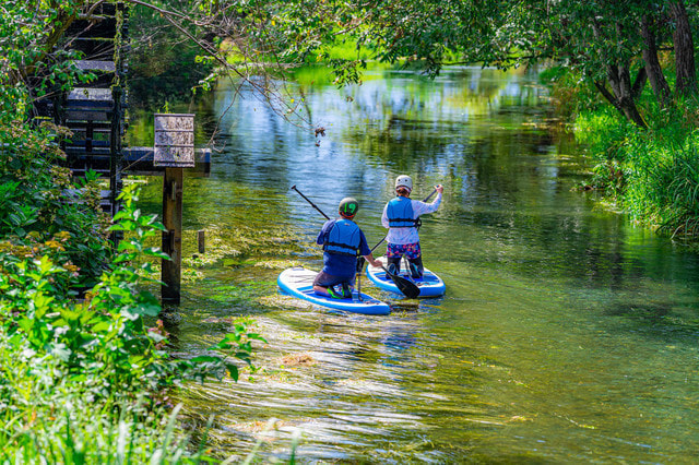 SUP(カヤック、ボート)エギングでイカを釣る