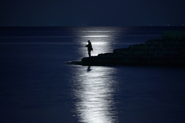 釣れない人の特徴