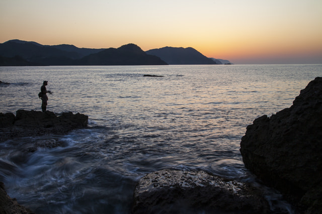 エギングのしゃくり、フォール、アタリ、シャクリ合わせについての私見