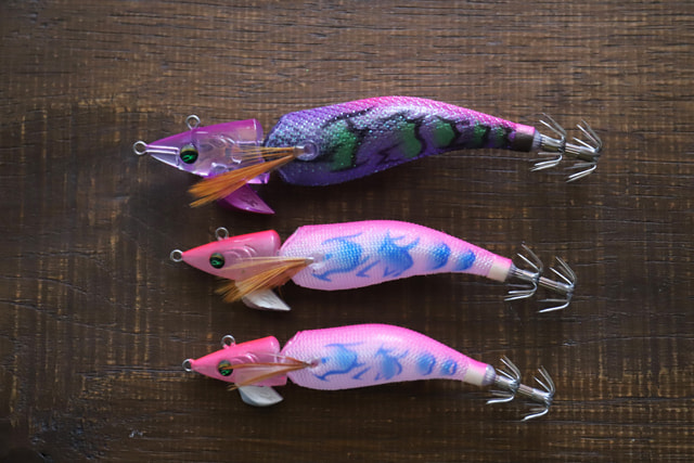 エギングのシャクリ方はエギの特性を活かそう