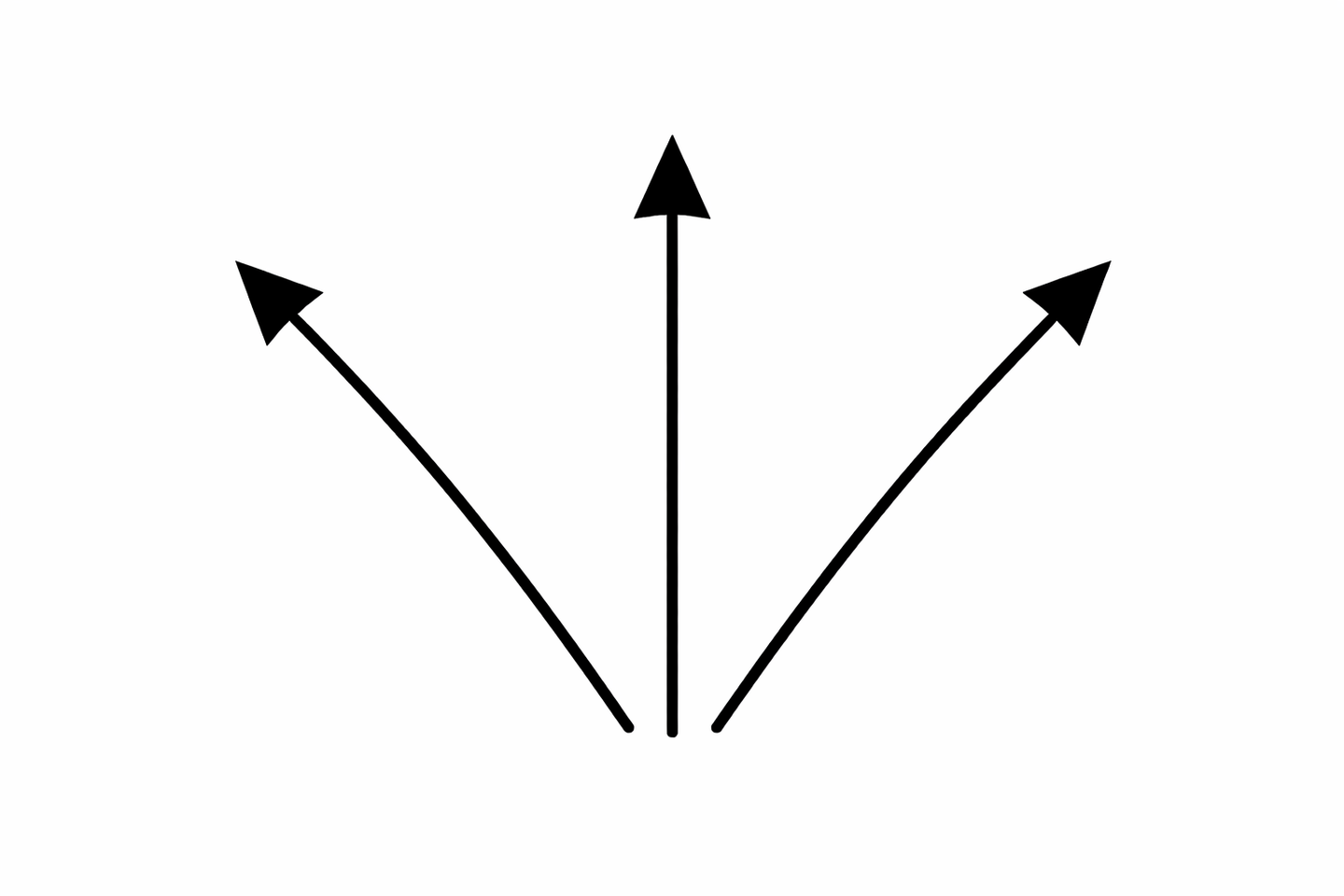 潮のよれを探すキャスト