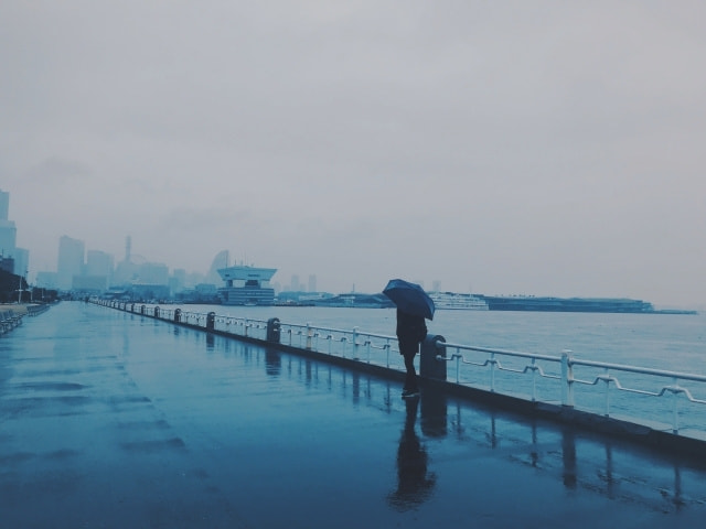雨の日のエギングは釣れる？釣れない？