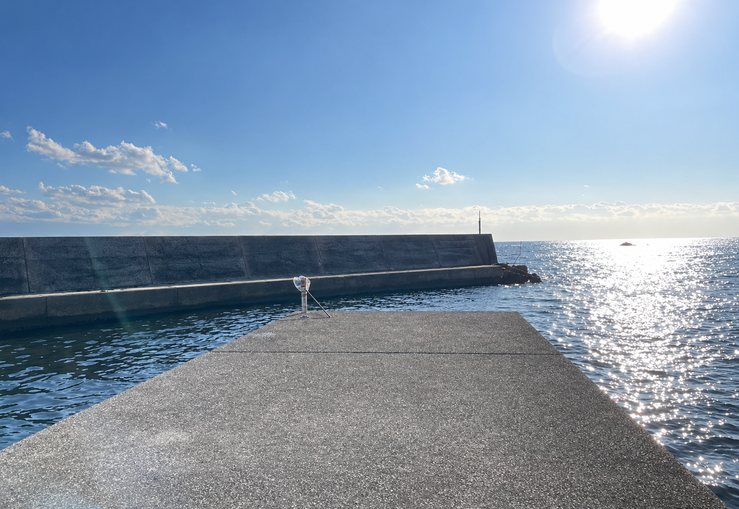 葉山アオリイカポイント