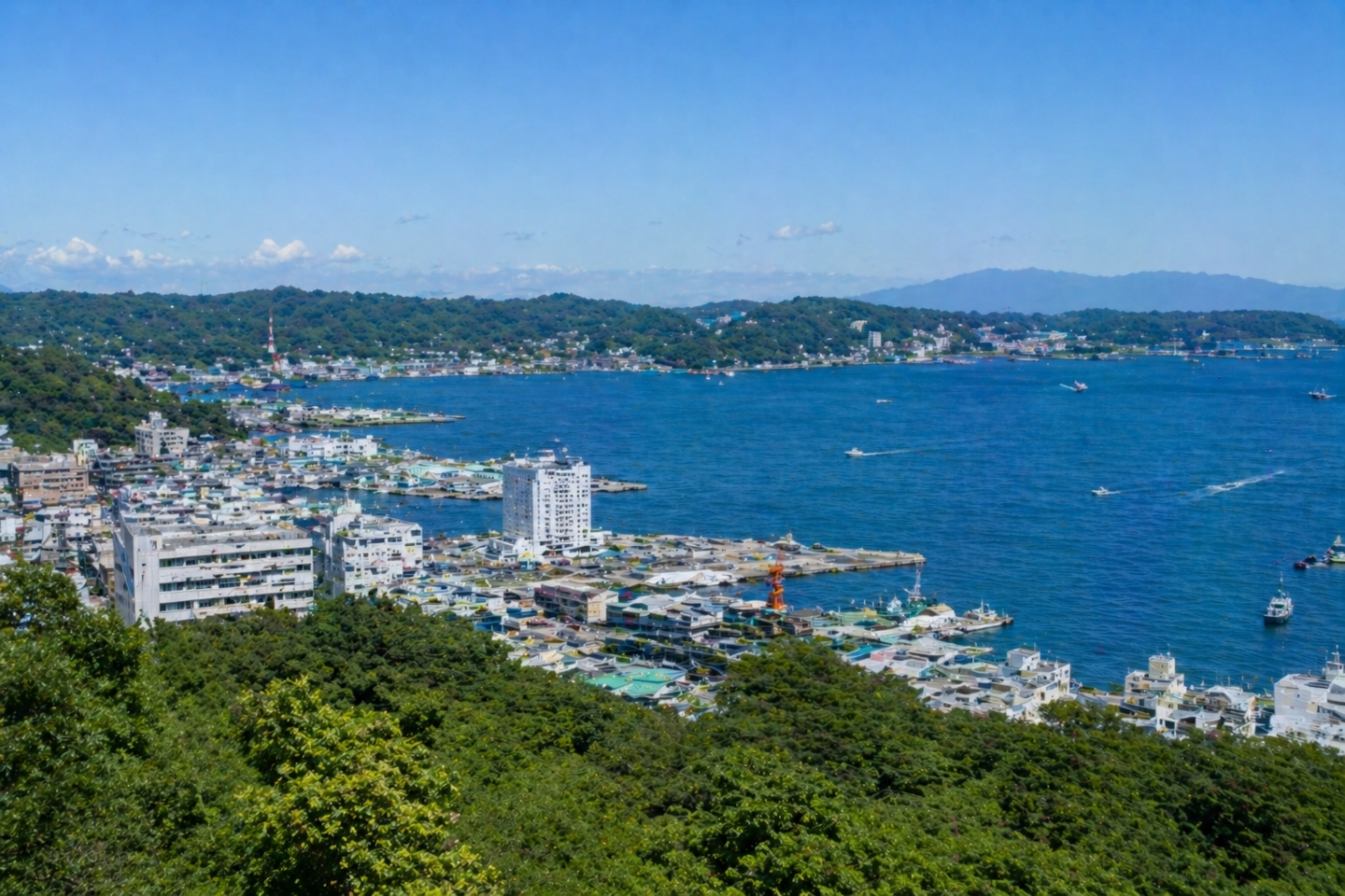 横須賀アオリイカポイント