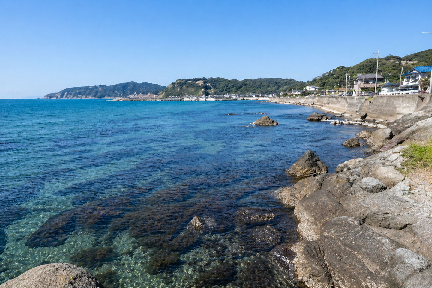 館山(内房南部)アオリイカポイント