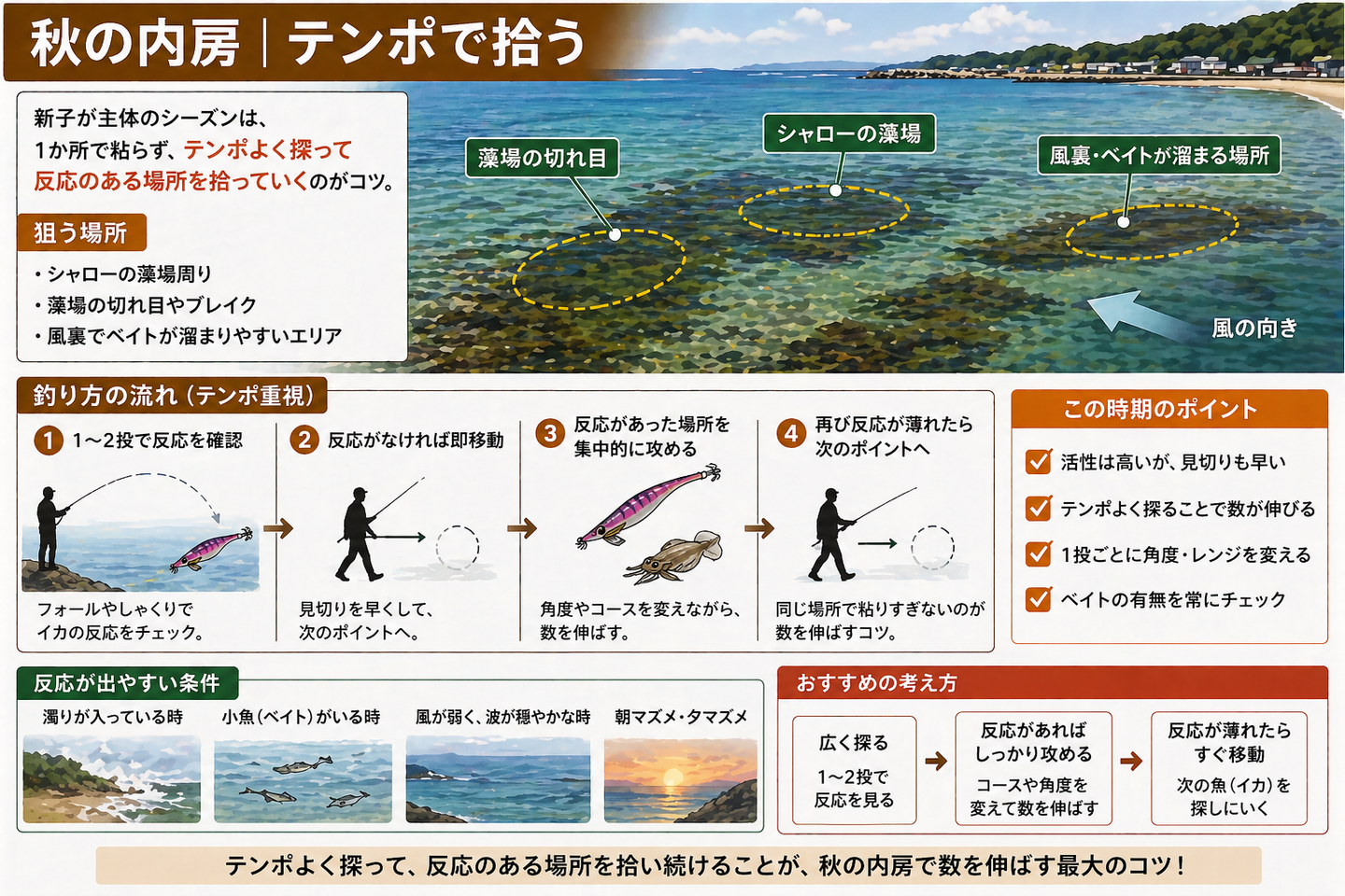 秋の内房エギング｜数釣り テンポ重視